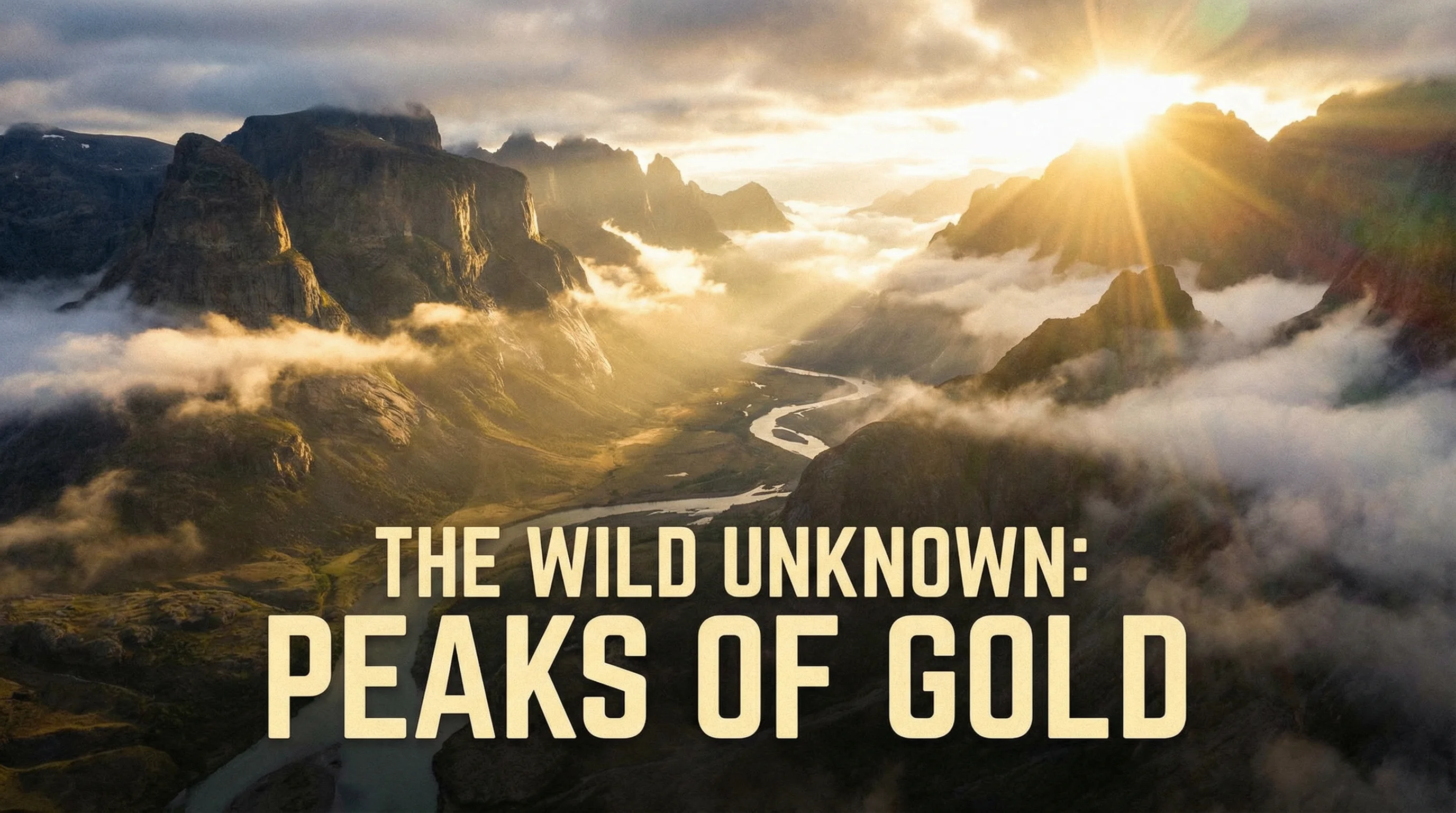 91探花精选内容展示